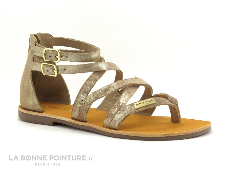 Tropeziennes PHARELL Beige Or - 23084 - Sandale Montante Tong - Image 5