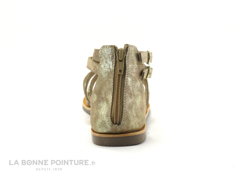 Tropeziennes PHARELL Beige Or - 23084 - Sandale Montante Tong - Image 4